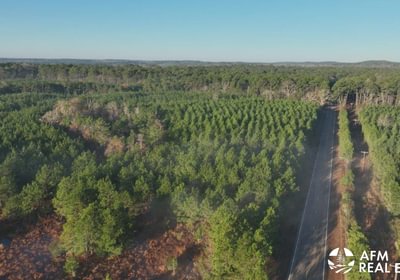 213 DJI 20250201075856 0004 V