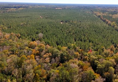 214 AFM Bladen 339 Photo 24