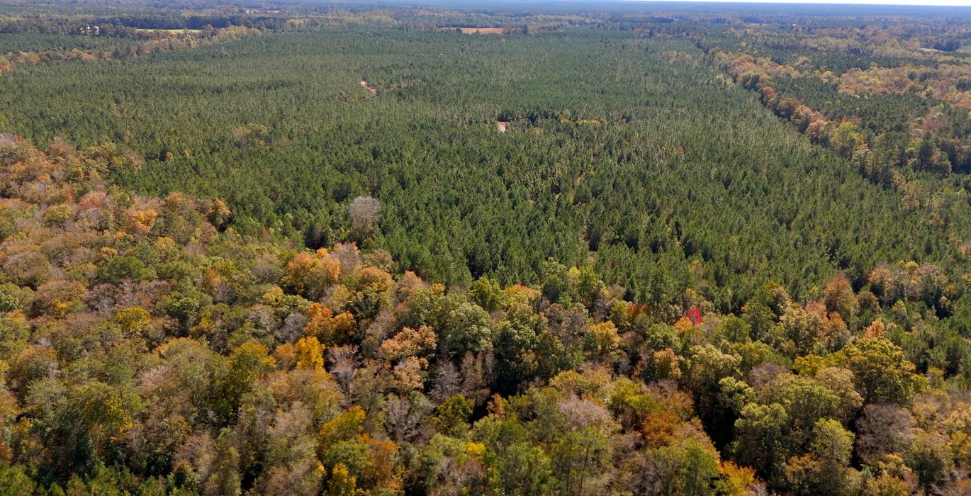 214 AFM Bladen 339 Photo 24