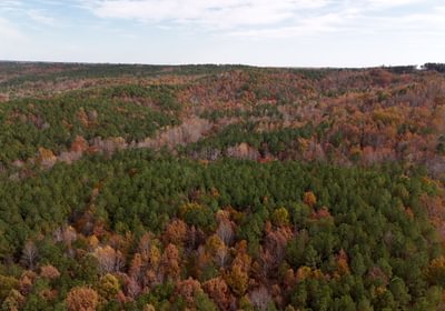 215 AFM Crump Farm Photo 15