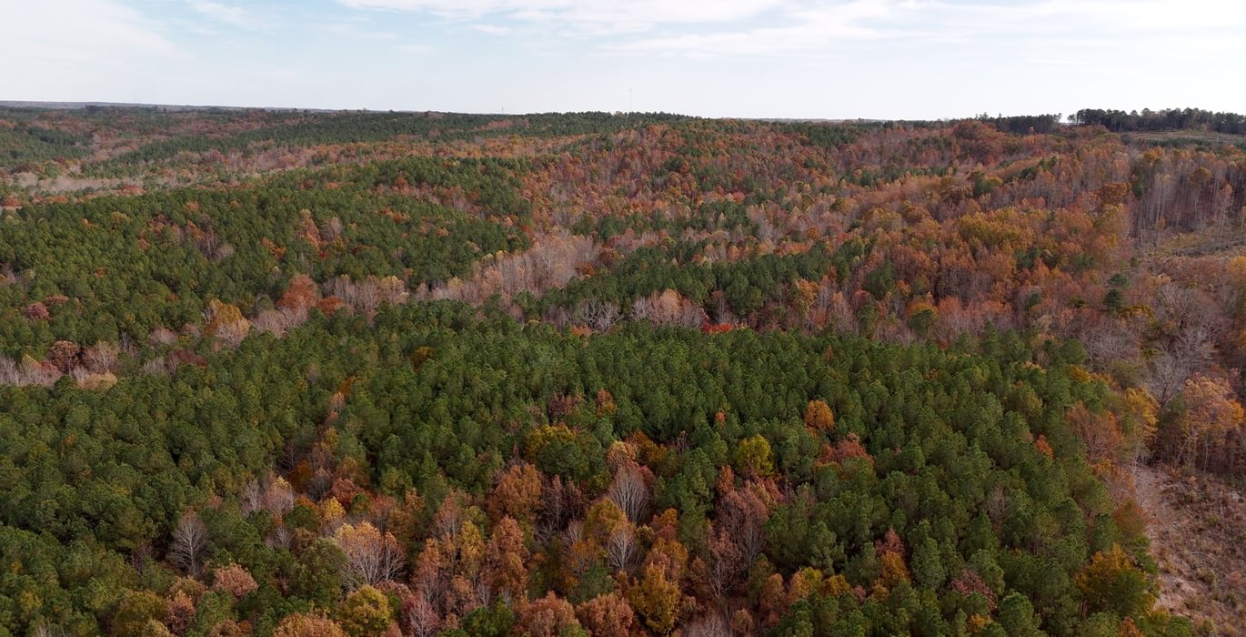 215 AFM Crump Farm Photo 15