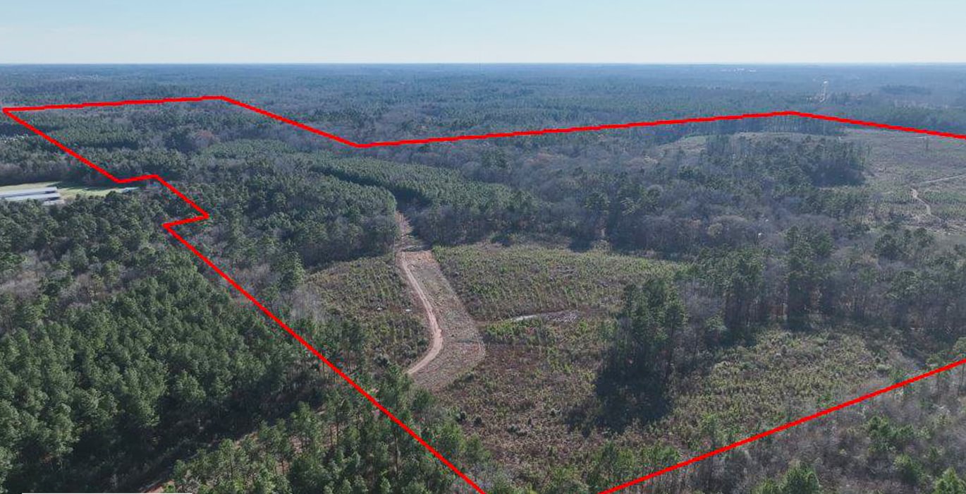 216 DJI 20250131154143 0019 V