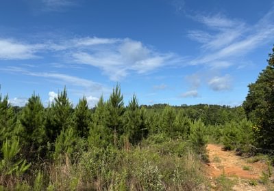 216 IMG 0238