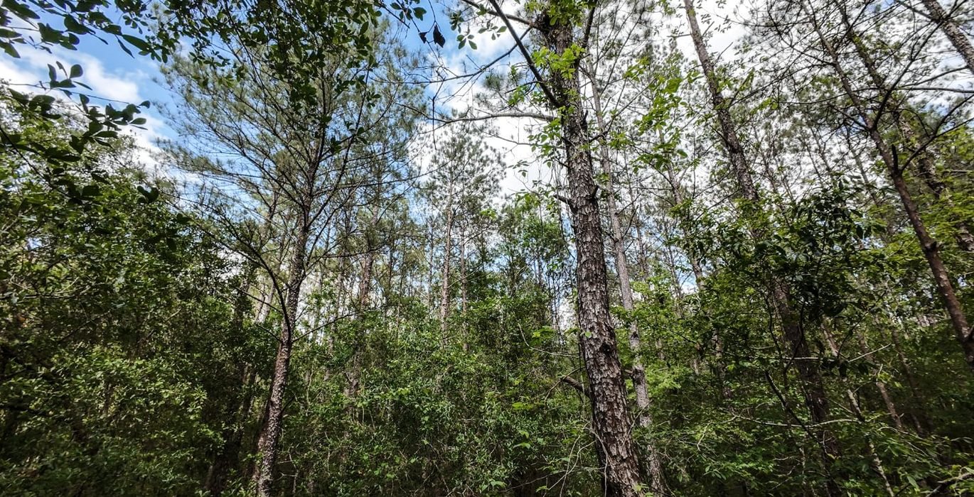 217 DJI 20250516231236 0071 D