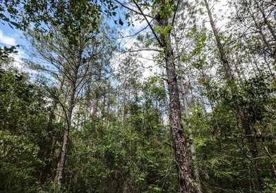 217 DJI 20250516231236 0071 D