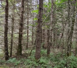 217 IMG 20250710 122707076 HDR