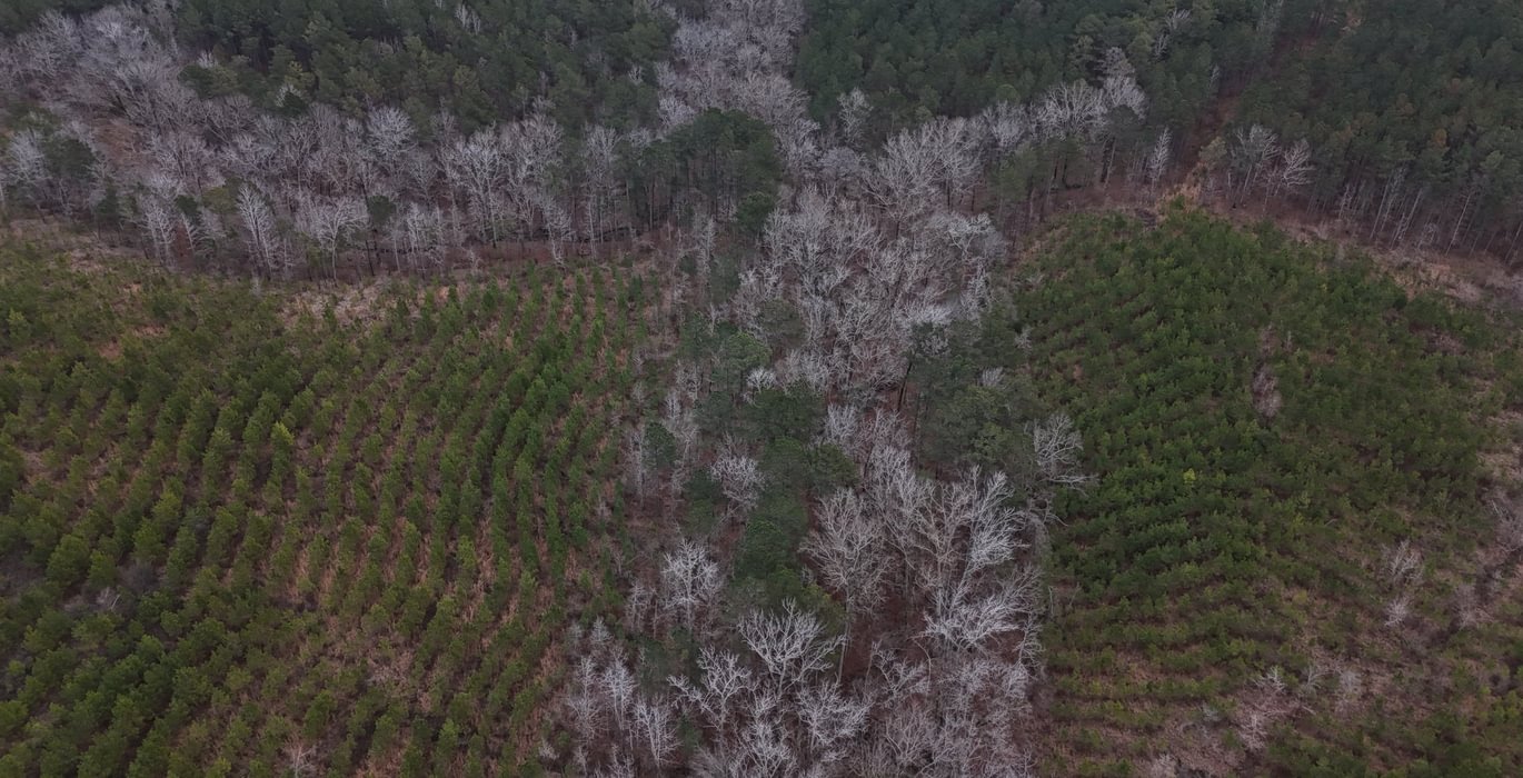 218 DJI 20260205154434 0014 D