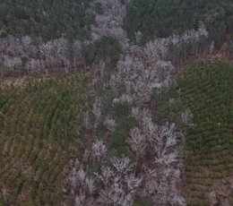 218 DJI 20260205154434 0014 D