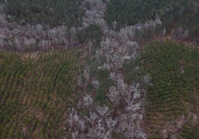 218 DJI 20260205154434 0014 D