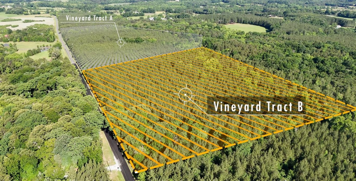 219 AFM Vineyard Road Tract B Photo 1