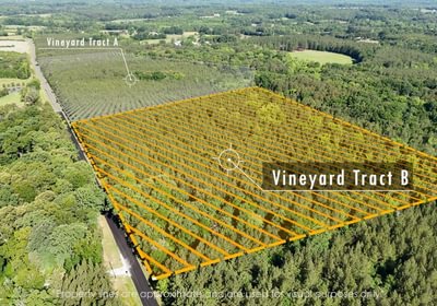 219 AFM Vineyard Road Tract B Photo 1