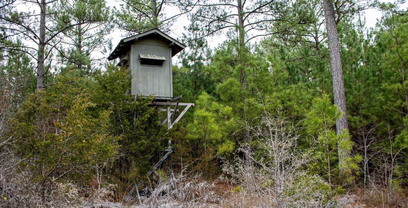 219 FORTLAWN IMG 6820