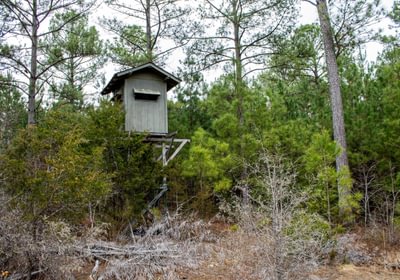 219 FORTLAWN IMG 6820