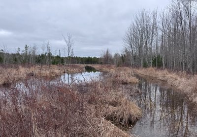 219 IMG 4476