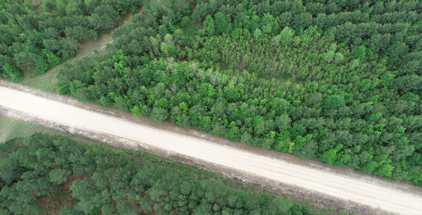 21 DJI 0469
