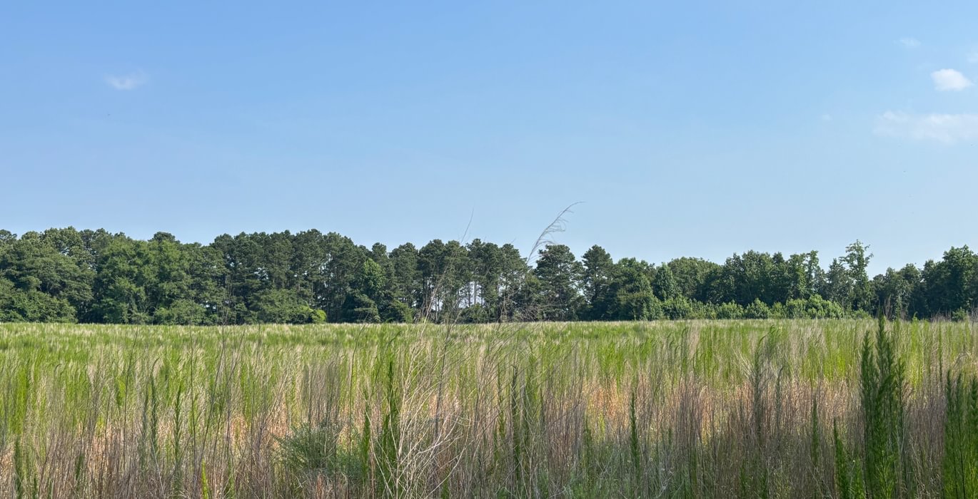 21 IMG 5139