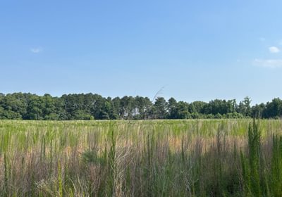 21 IMG 5139