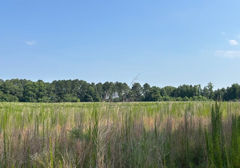 21 IMG 5139