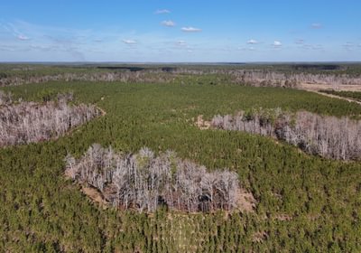 21 dji fly 20241216 140538 0069 1734391505947 photo