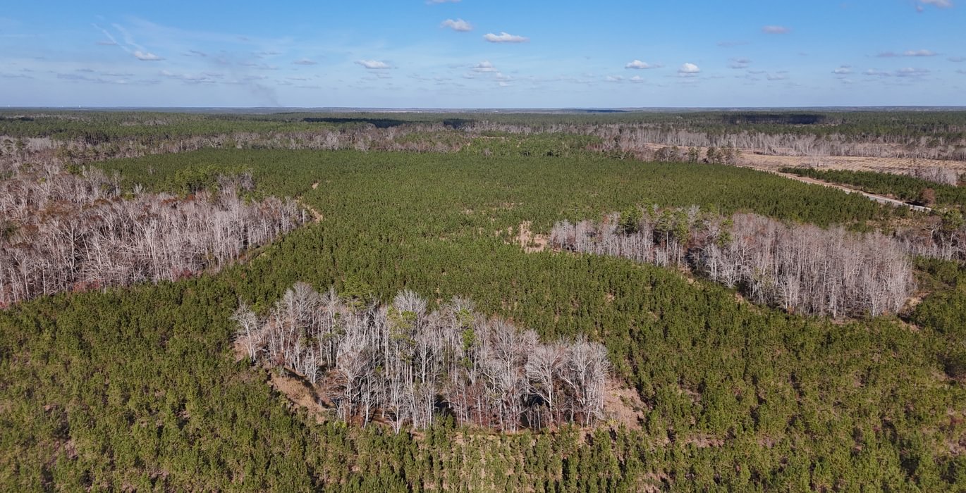 21 dji fly 20241216 140538 0069 1734391505947 photo
