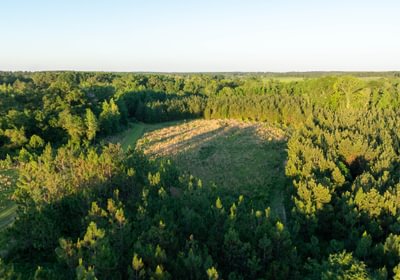 221 DJI 0918