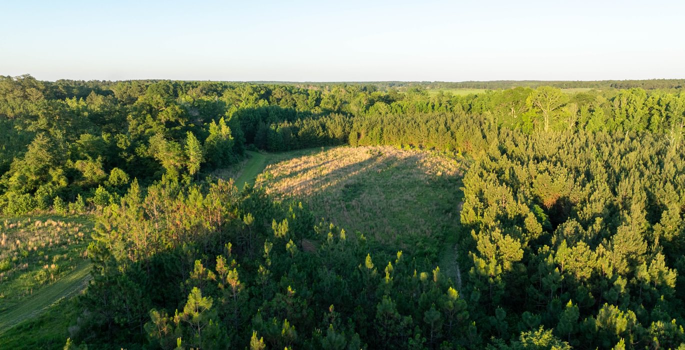 221 DJI 0918