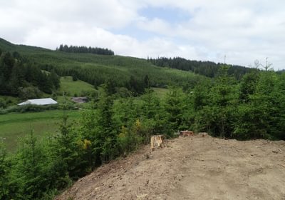 221 DJI 0123