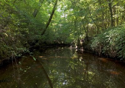 224 Cabin Creek Photo 43