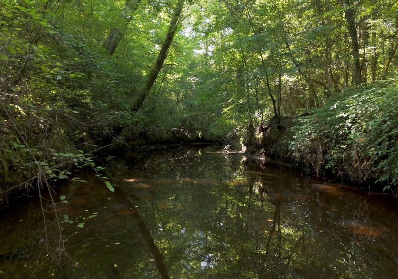 224 Cabin Creek Photo 43
