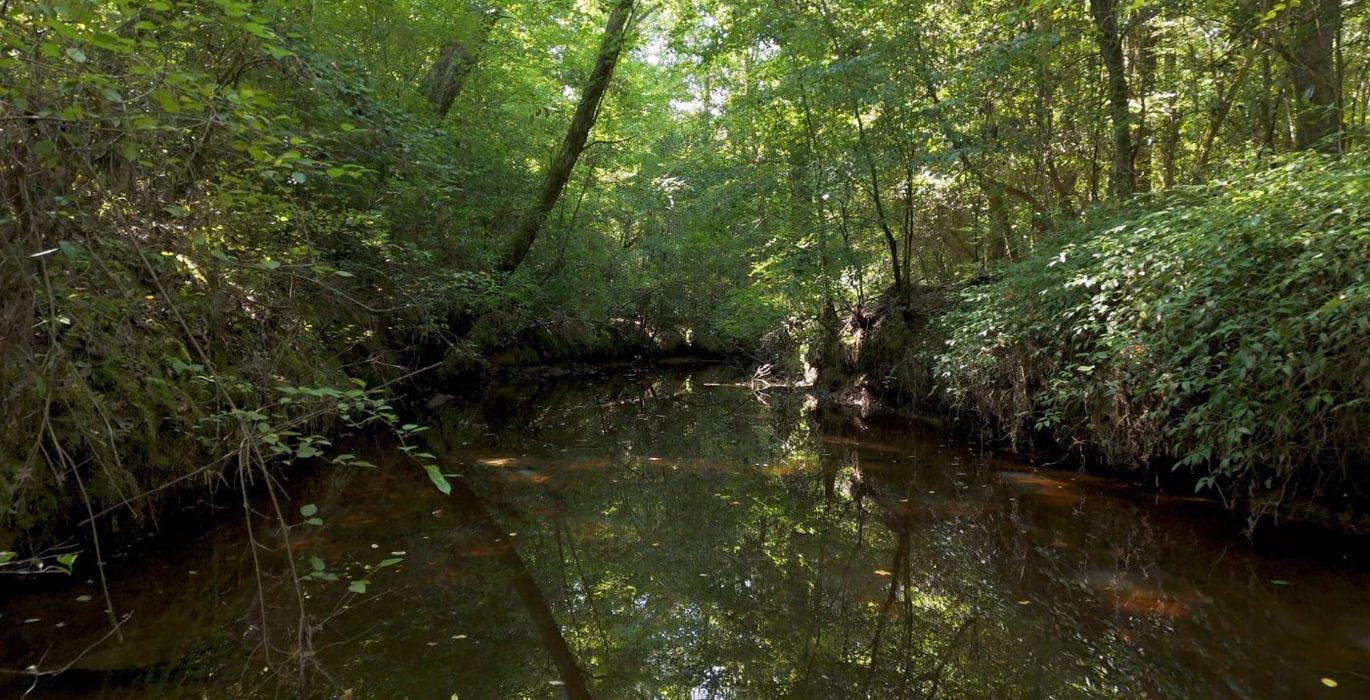 224 Cabin Creek Photo 43