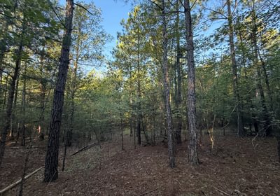 224 IMG 0372
