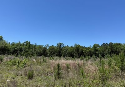 225 IMG 1757