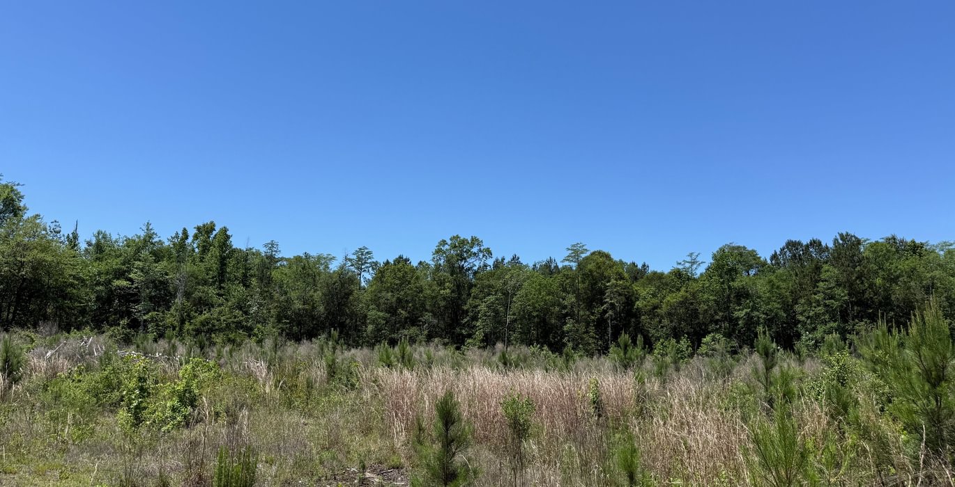 225 IMG 1757