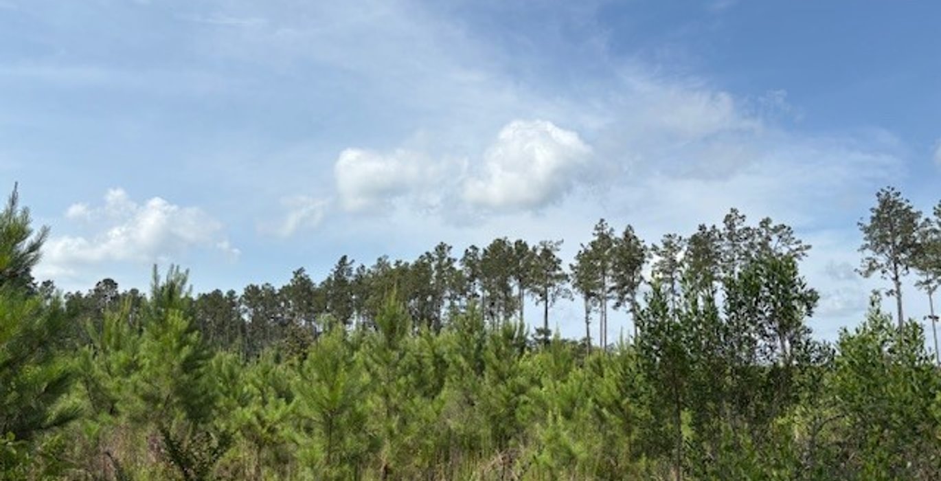 227 jas 23