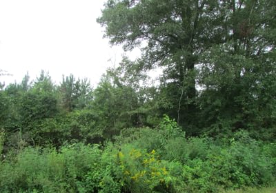 228 011 IMG 0890
