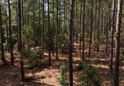 228 Cabin Creek Photo 37