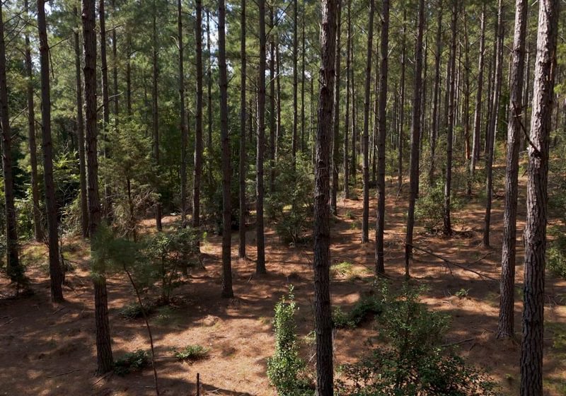 228 Cabin Creek Photo 37