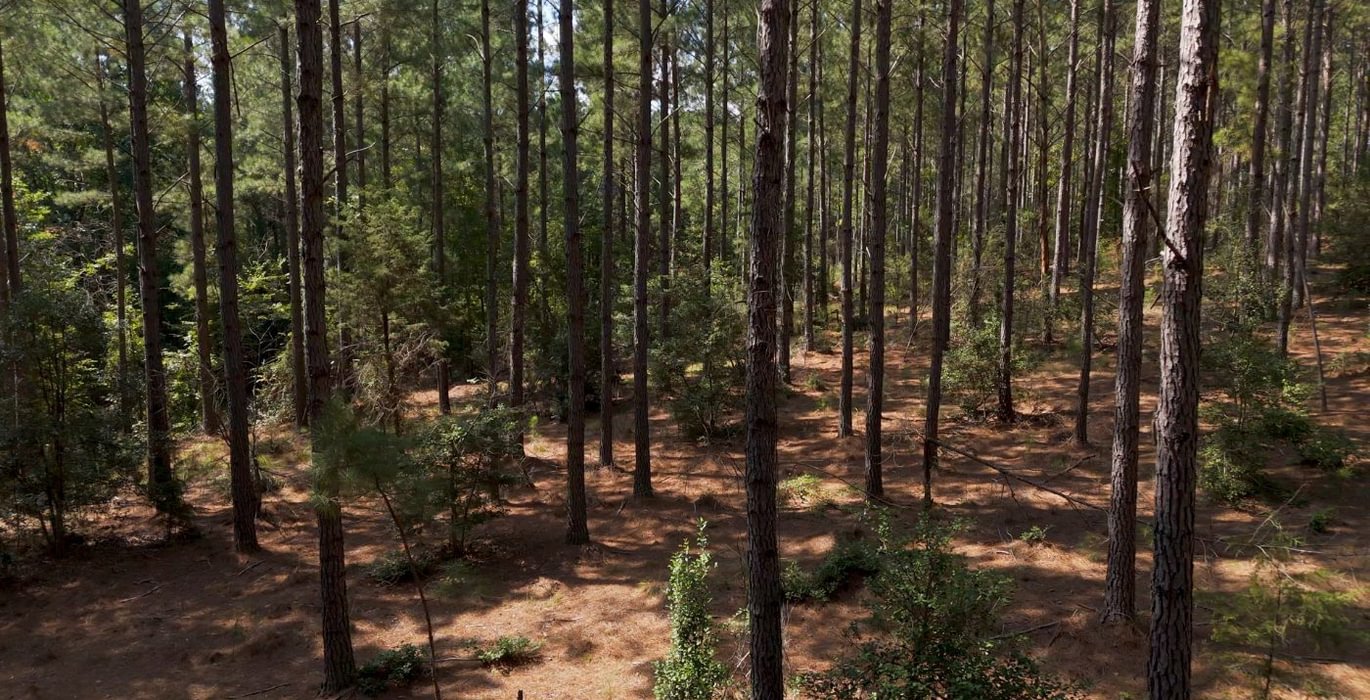 228 Cabin Creek Photo 37