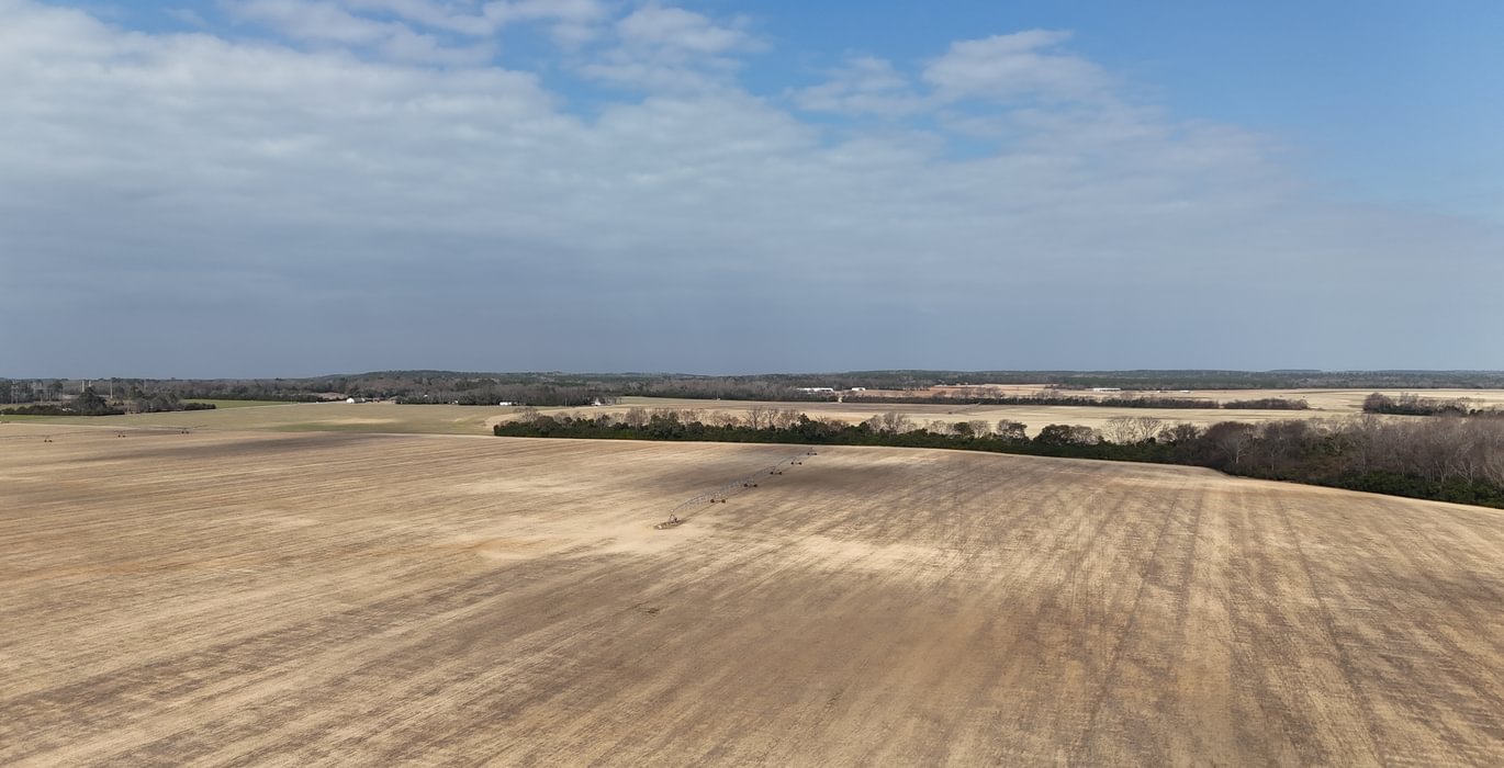 228 DJI 20250206115517 0105 D