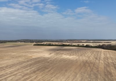 228 DJI 20250206115517 0105 D