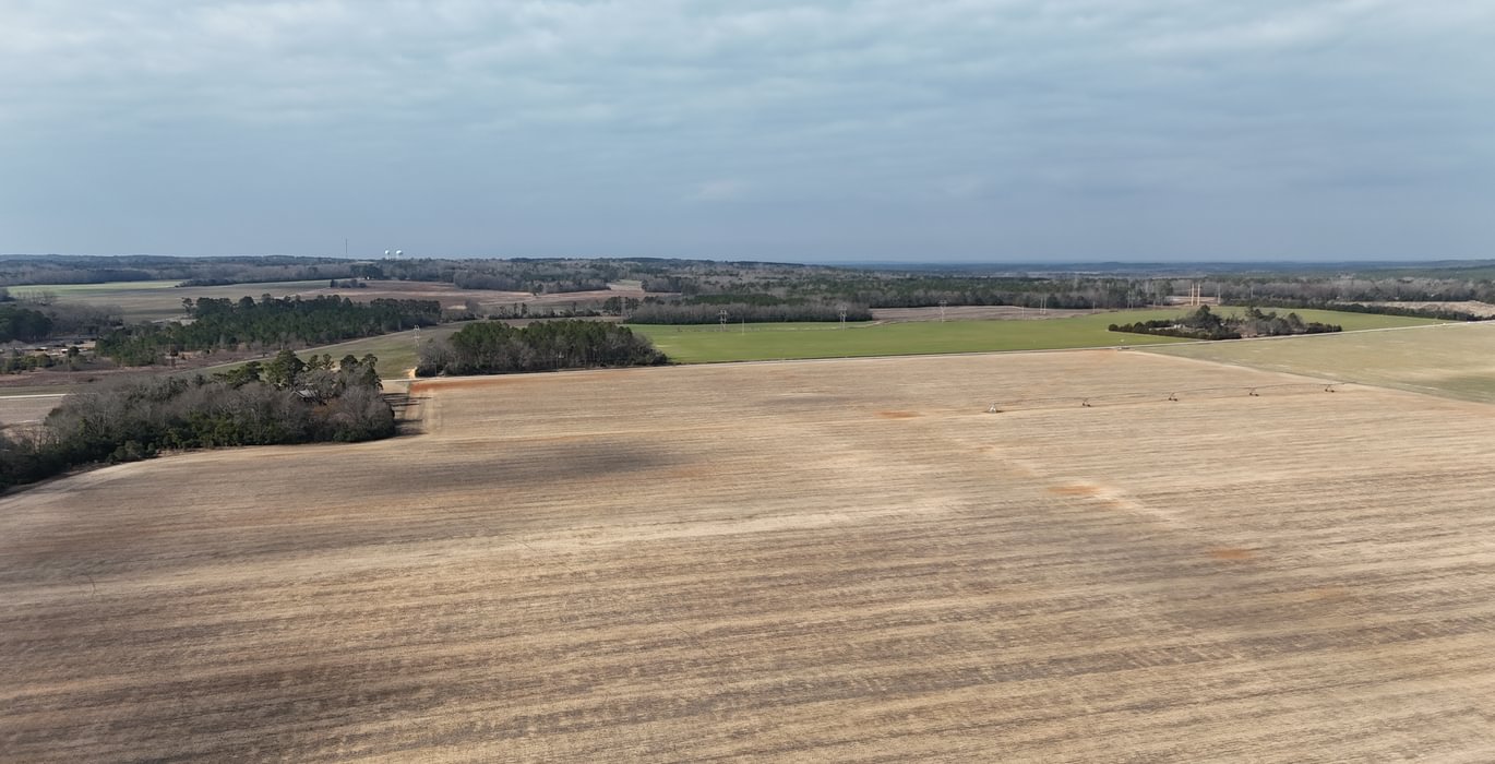 228 DJI 20250206115704 0109 D