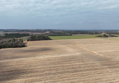 228 DJI 20250206115704 0109 D