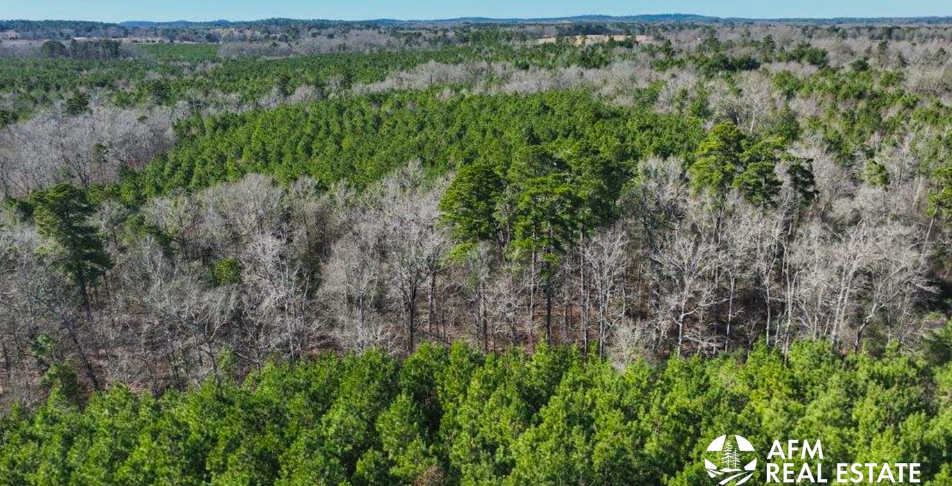 228 DJI 20250201142936 0028 V