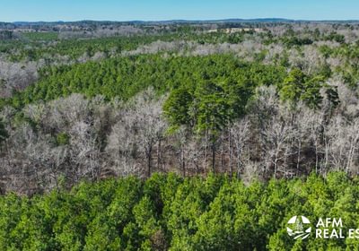 228 DJI 20250201142936 0028 V