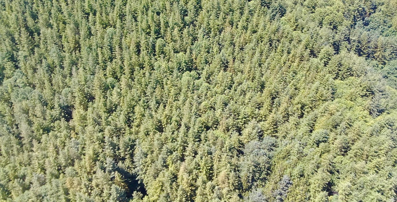 228 IMG20260611184953185