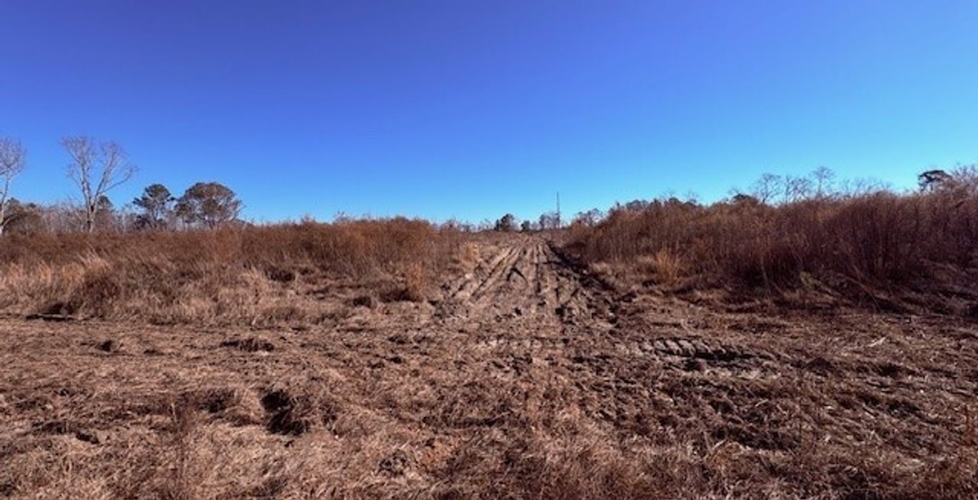 229 gibson entrance trail2