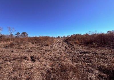 229 gibson entrance trail2