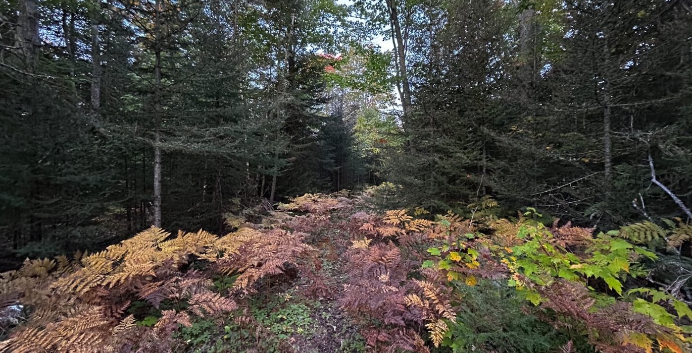 22 IMG 3398