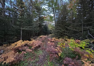 22 IMG 3398