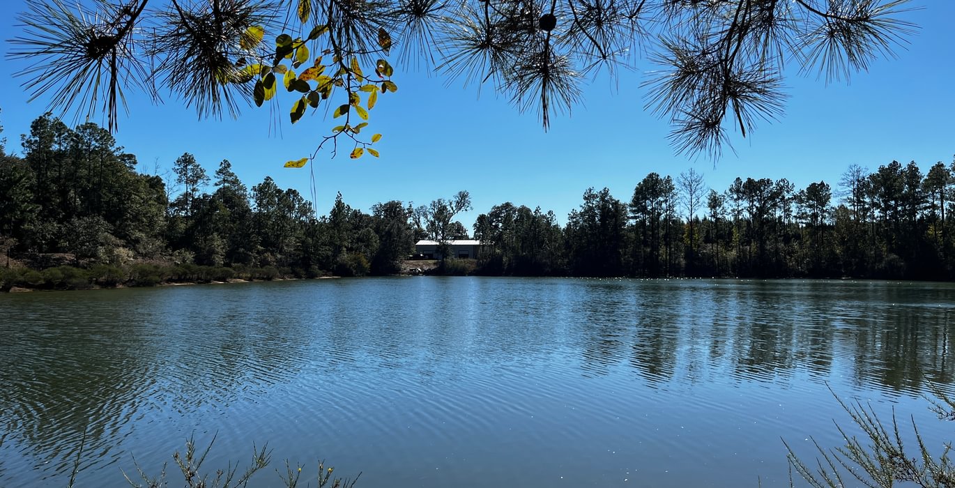 230 Barn overlooking pond